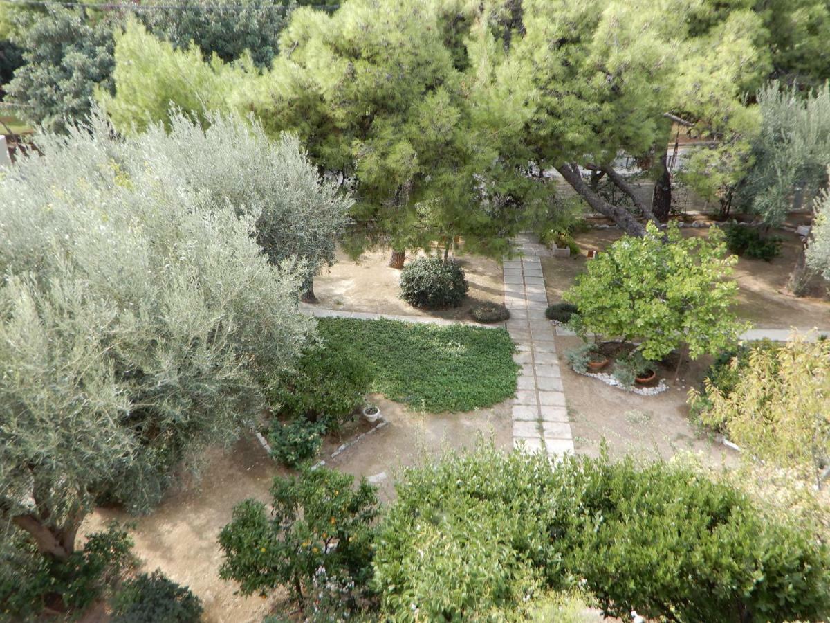 Comfortable Garden Apt Near Vouliagmeni Beach Ateny Zewnętrze zdjęcie